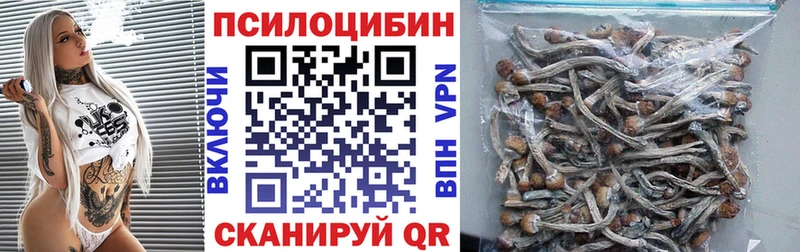 продажа наркотиков OMG рабочий сайт Галлюциногенные грибы Magic Shrooms Новомичуринск